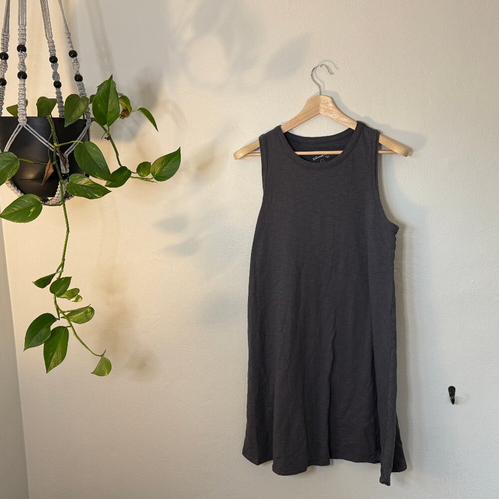 Sleeveless Swing Dress